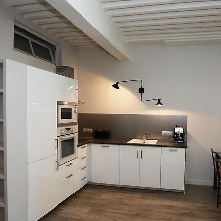 55 M2 Apart With Big Terrace In Annecy Downtown Dış mekan fotoğraf
